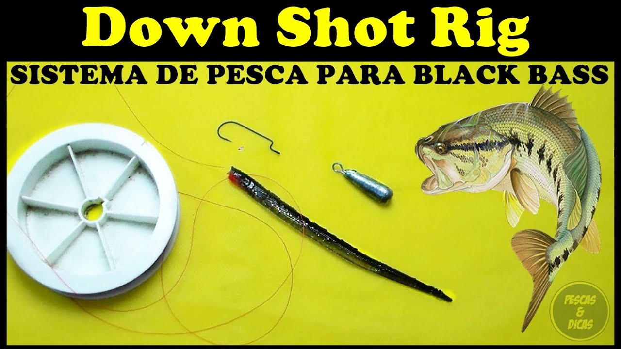 Sistema Down Shot Rig para Pesca de Black Bass [Pescas e Dicas]