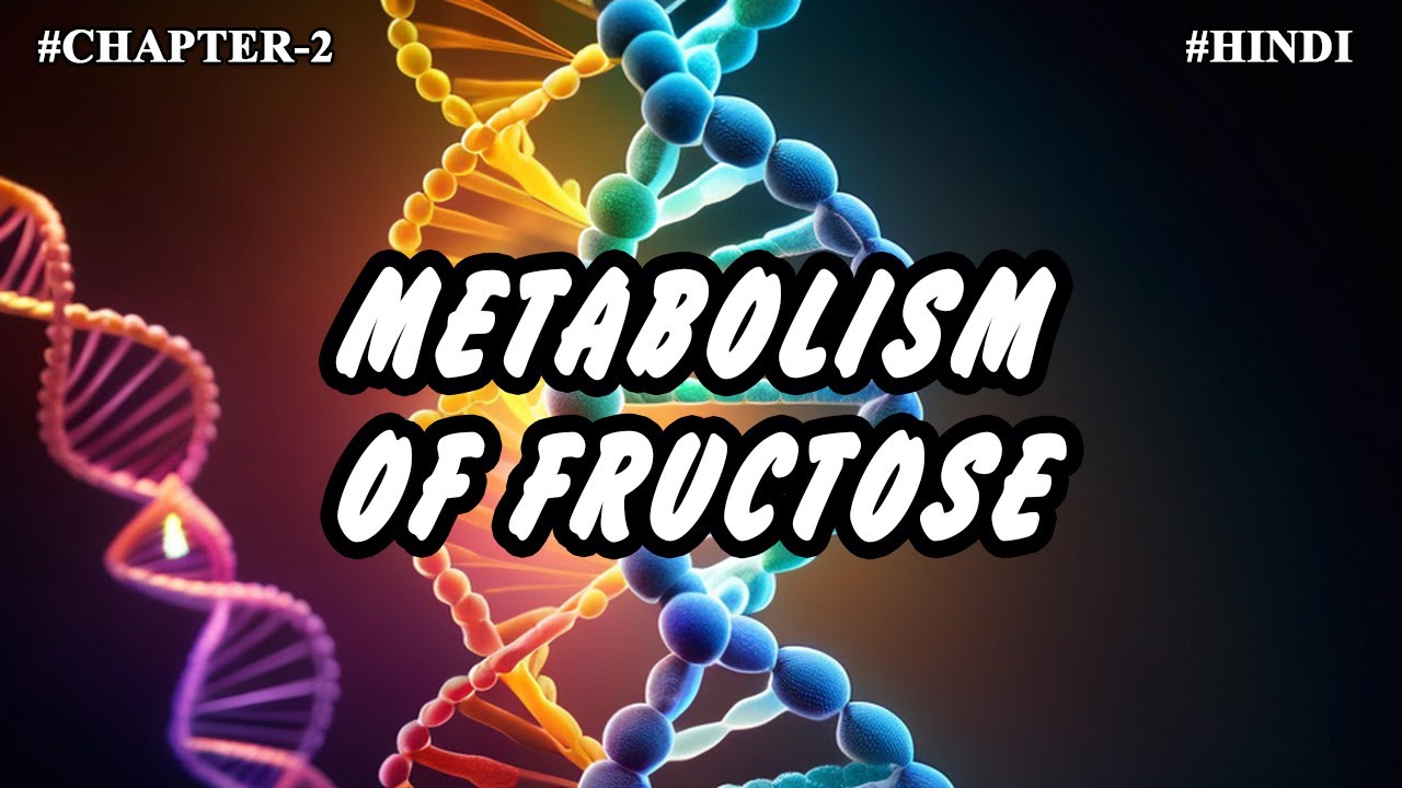 Chapter -2 || Metabolism Of Carbohydrates (Part-13) || Metabolism Of Fructose