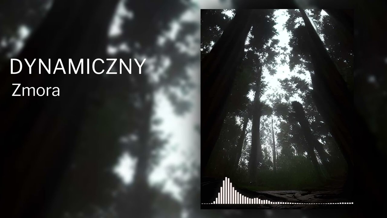 Dynamiczny - Zmora