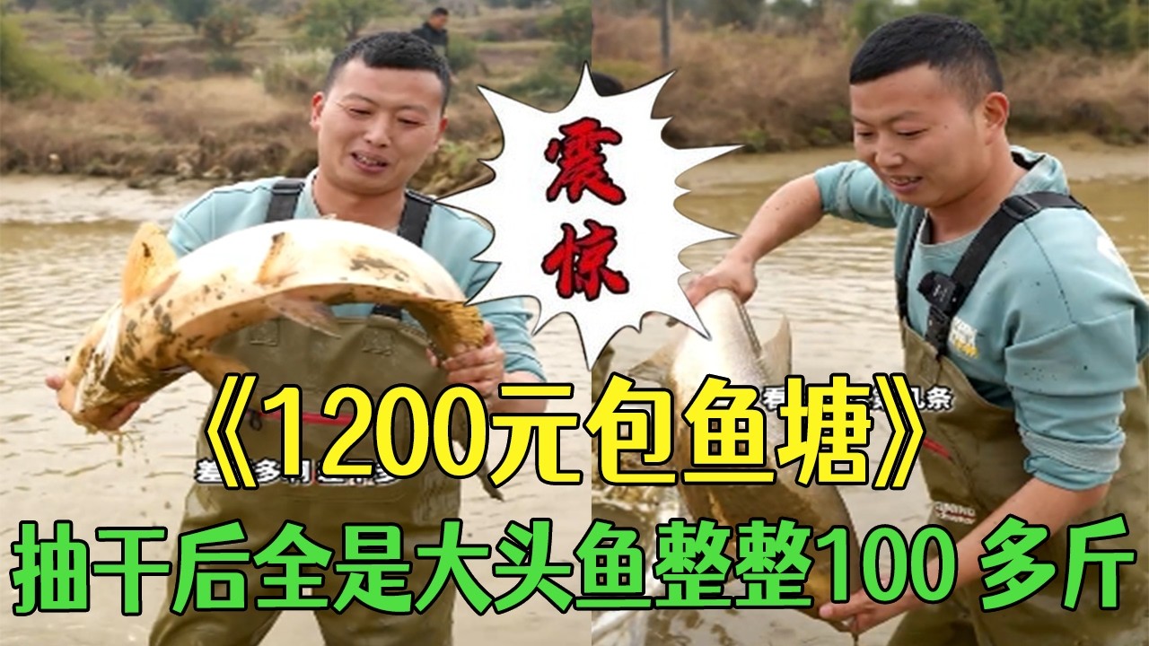 1200 元承包魚塘，抽幹後全是大頭魚，整整 100 多斤！ #小飛哥#農村生活 #新農人計劃2026 #護外 #三農