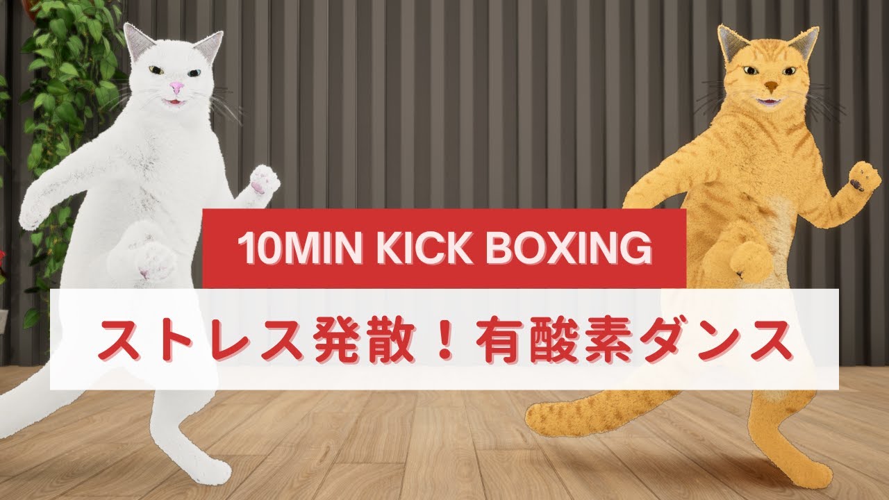 ストレス発散！キックボクシング風有酸素ダンス😸