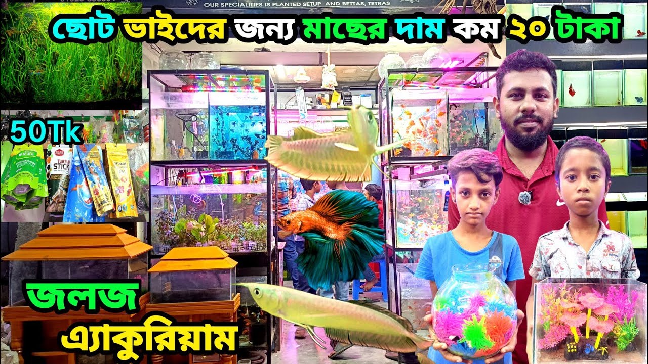 জলজ Aquarium 🐠Fish Shop In Khulna  Aquarium Fish Price  Aquarium Fish Price In Bangladesh #aquarium 