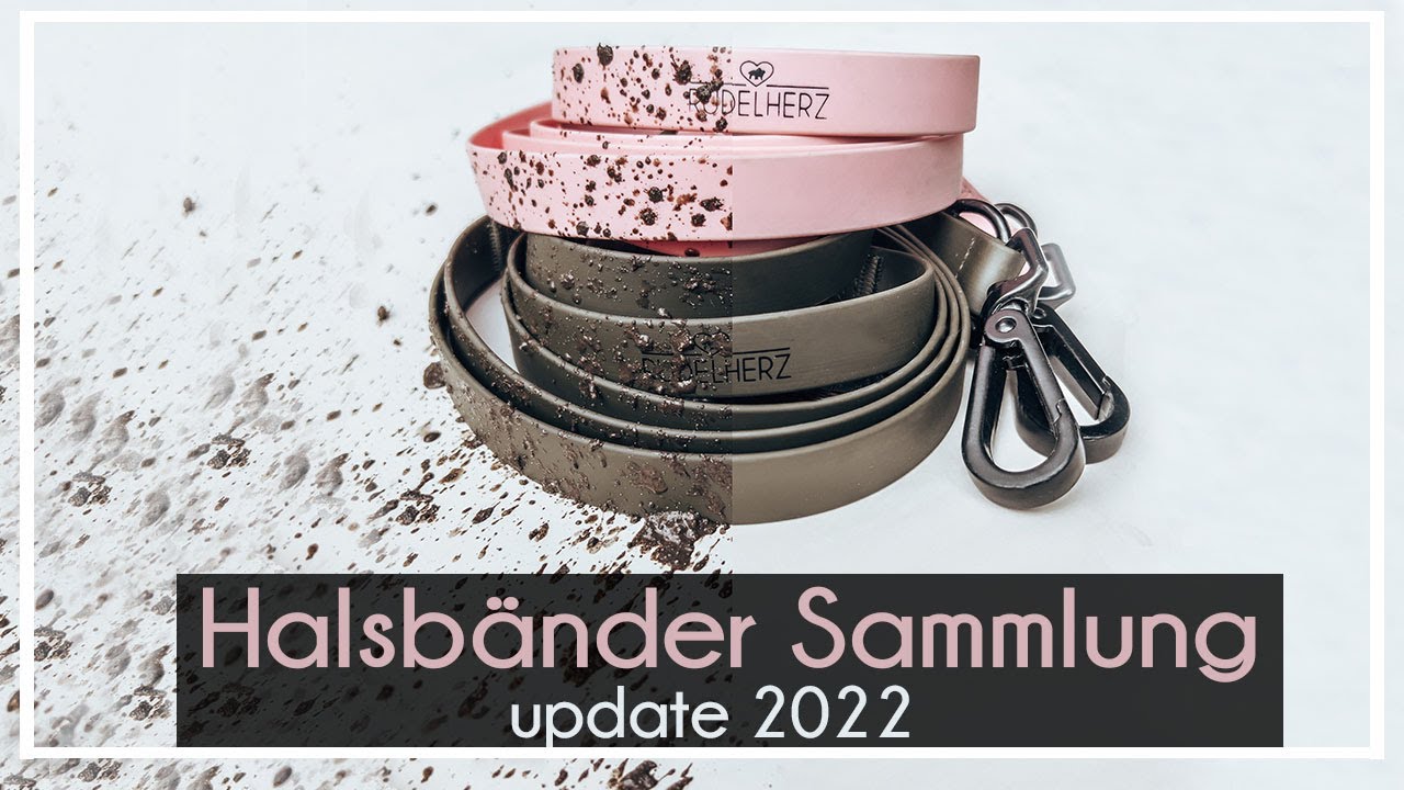 Halsband Update 2022| DIESE benutzen wir wirklich  | Foxred + Chocolate Labrador  | KaroLovesMilka