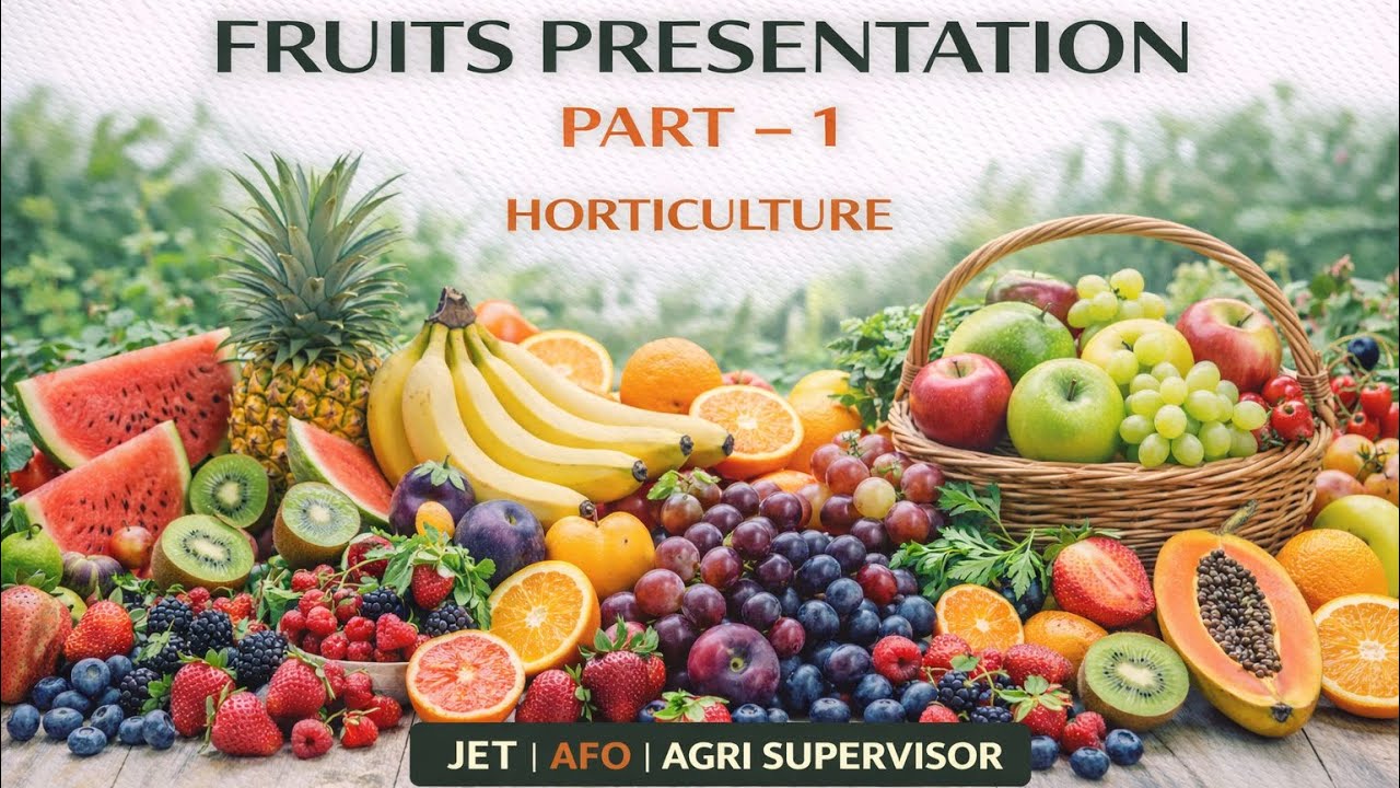 Fruit Presentation | Part 1 | Horticulture