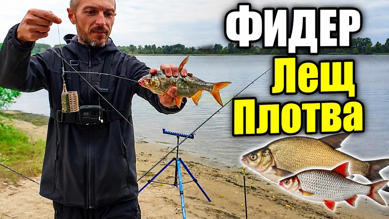Рыбалка на Фидер Лещ Плотва Днепр/Народная Оснастка Рулит/Видеоотчет Октябрь 2023