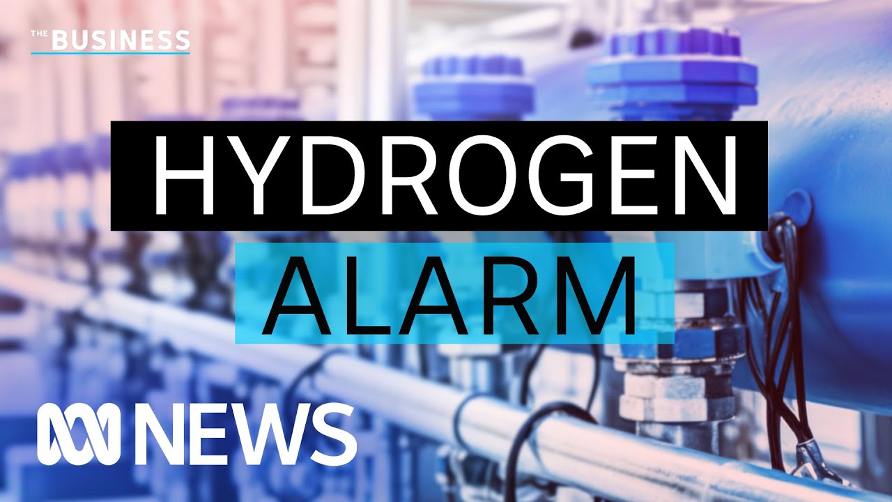Why the government's getting green hydrogen wrong | The Business | ABC News