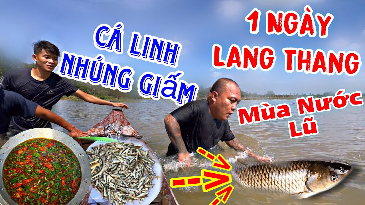 TXVL - Một Ngày Lang Thang Cùng Team Thánh Xàm Trãi Nghiệm Mùa Nước Lũ Cùng Món Cá Linh Nhúng Giấm