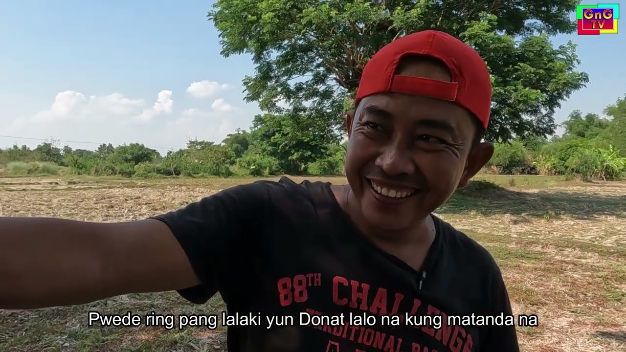 Franz Ken lakay nga Pal-eng ag agayyemen