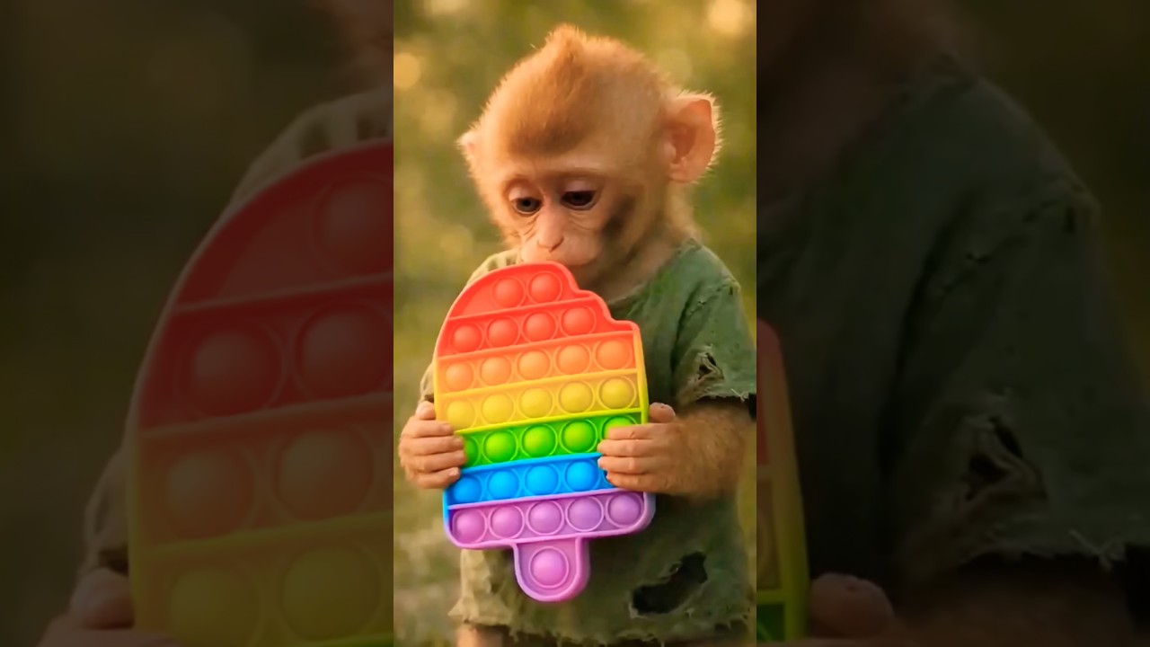 Dad Tried to Take It 😳&hellip; Monkey Started Crying 😭🐒 #shorts #shortsfeed #ytshorts