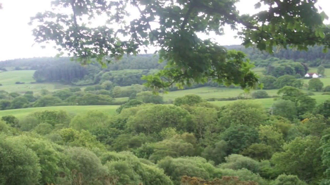 Delius: Piano Concerto - Beecham -Betty Humby piano