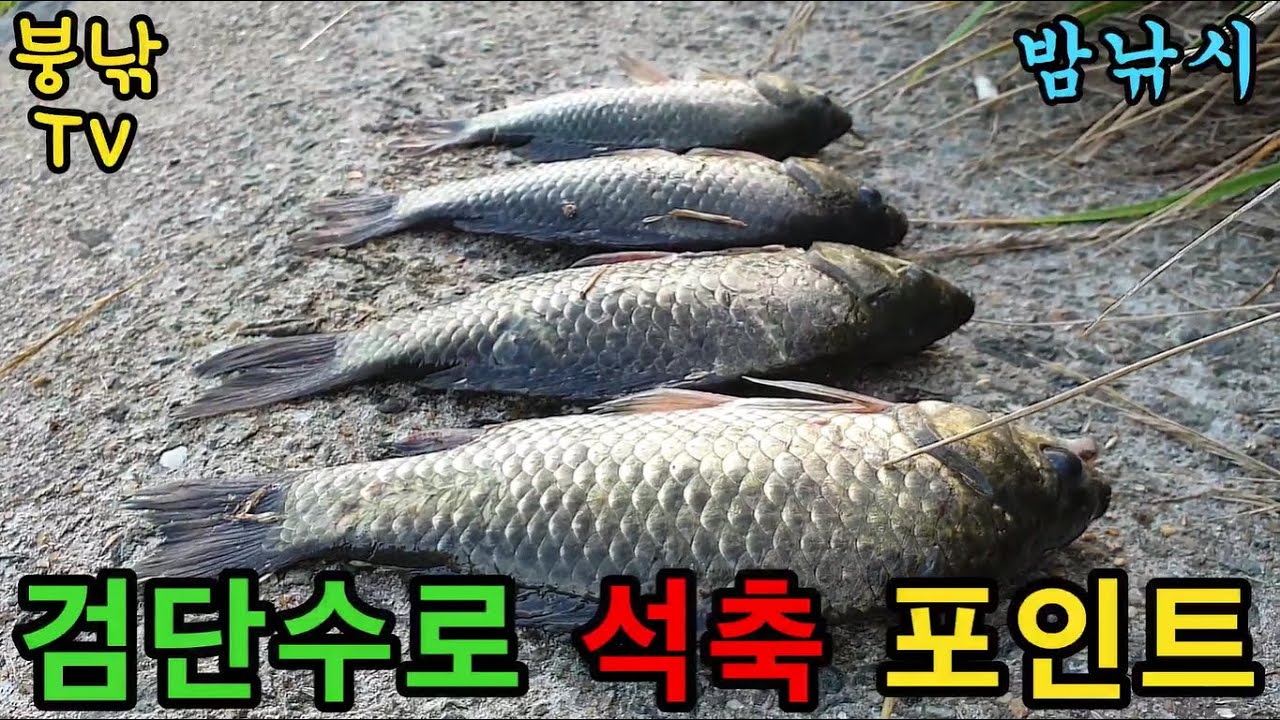 검단수로 석축 포인트♥ 낚시꾼이라면 꼭 보셔야 합니다!!