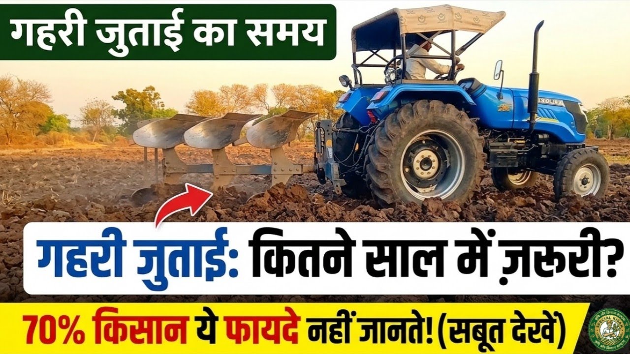 खेतों में पलाऊ कितने साल में कराएं ! Khet Me Pilau kab kare ! Kheto Me Pilau Karne Ke Fayde