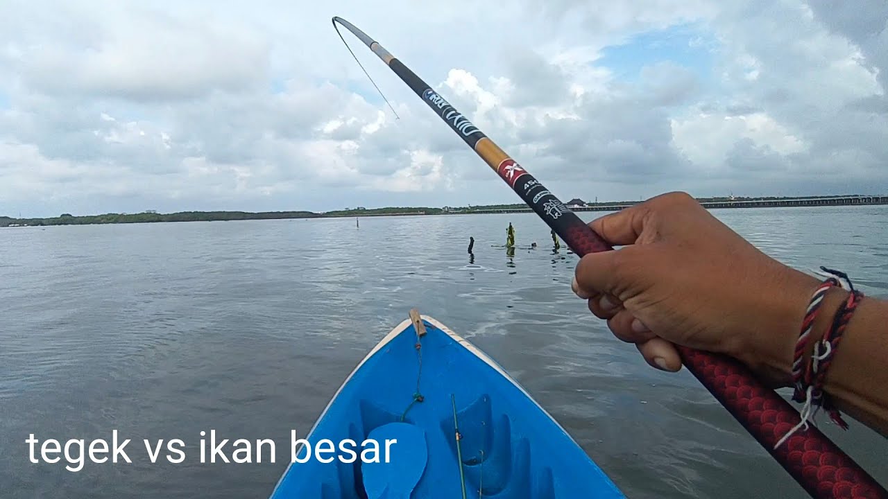nekat pakai tegek di sarang ikan besar, ini yang terjadi..