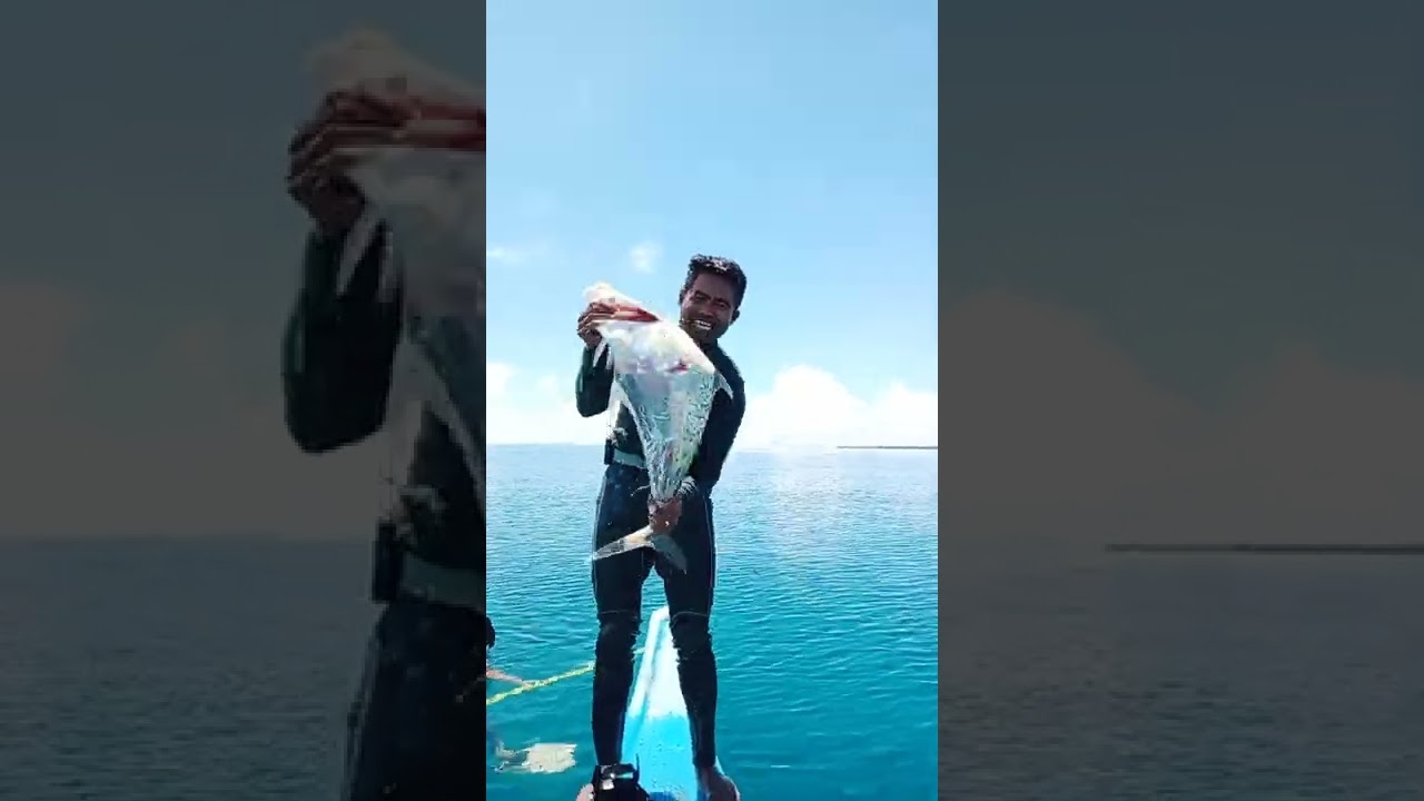 Malaking isda na giant trevalley ang nakoha namin 