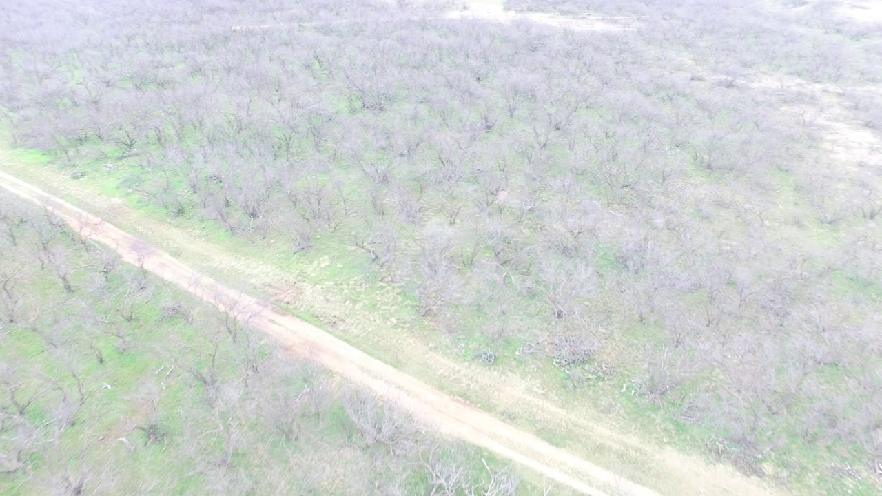 Olney Texas 200 acres