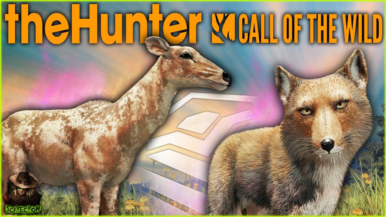 Diamond Tibetan Fox & Piebald Nilgai In Sundarpatan With The Gandhare Rifle! Call of the Wild