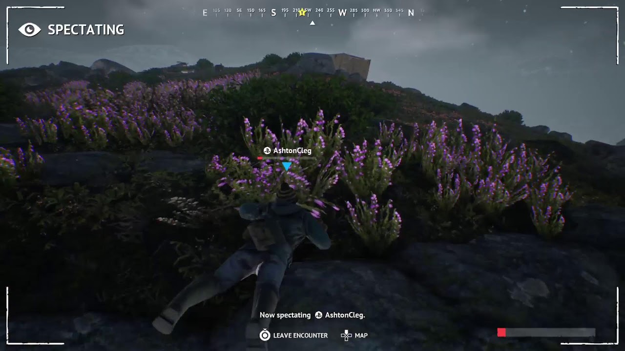 Vigor duo tune in