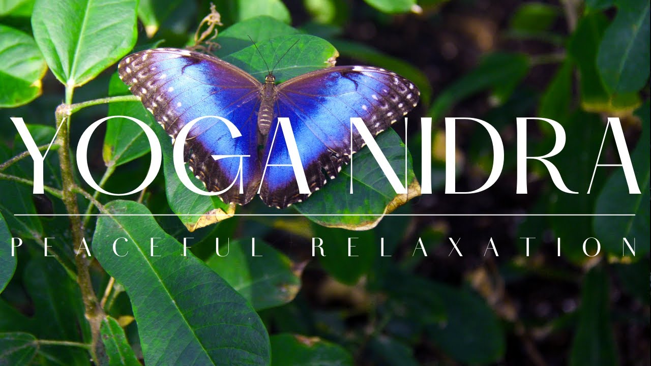 40 Minute Yoga Nidra for Peaceful Relaxation