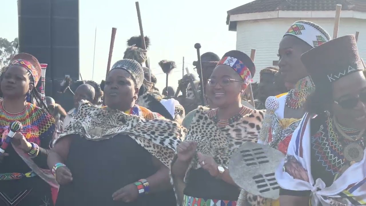 Reed Dance oNdlunkulu King Misuzulu's Wives dancing together  Wadlani Kwenu endlini ihubo #reeddance
