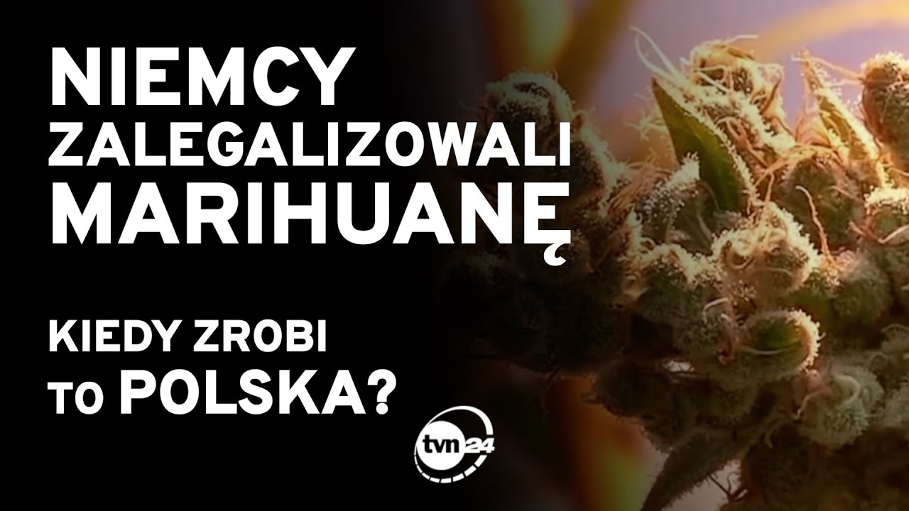 NIEMCY ZALEGALIZOWALI MARIHUANĘ. KIEDY ZROBI TO POLSKA? [FAKTY TVN]