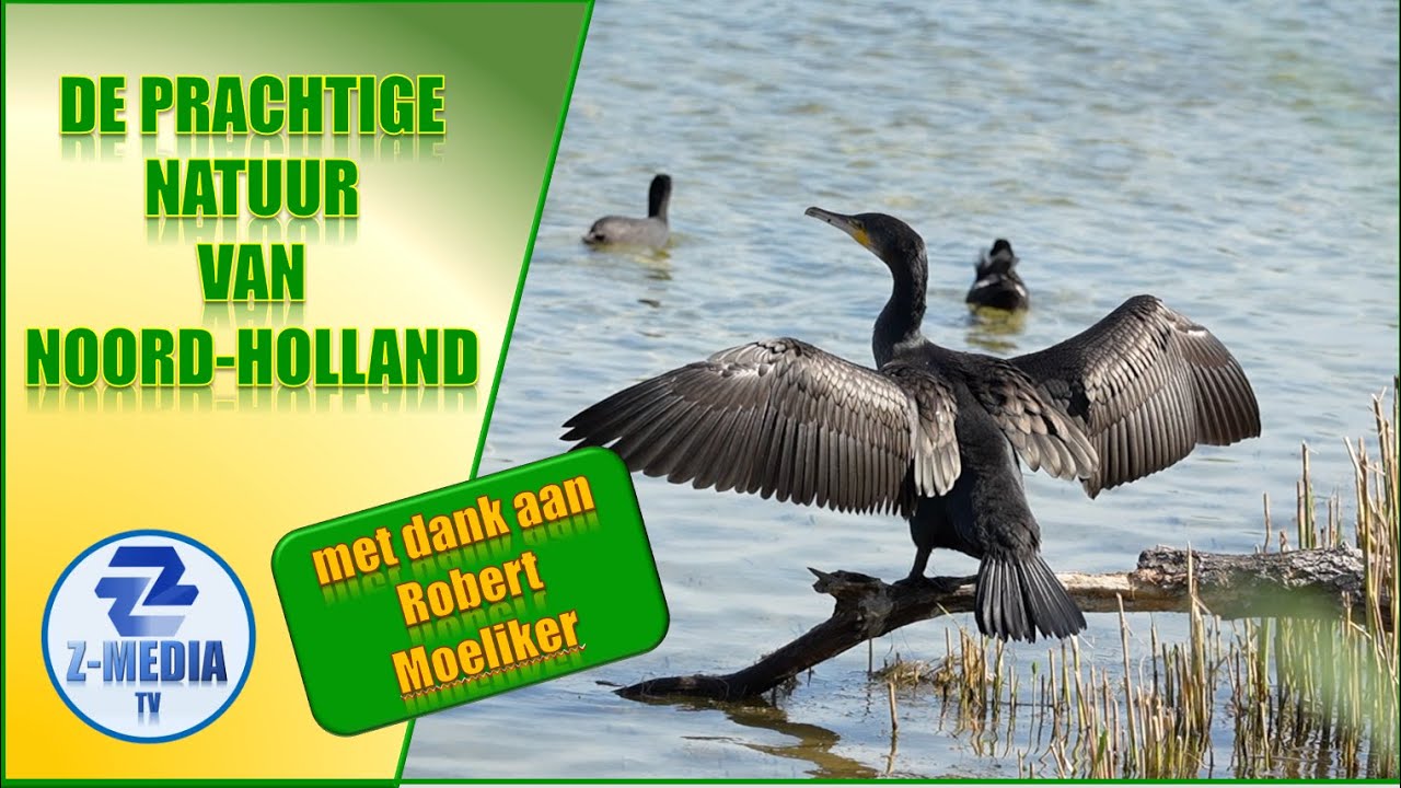 Kijk mee naar de prachtige natuur van Noord Holland!
