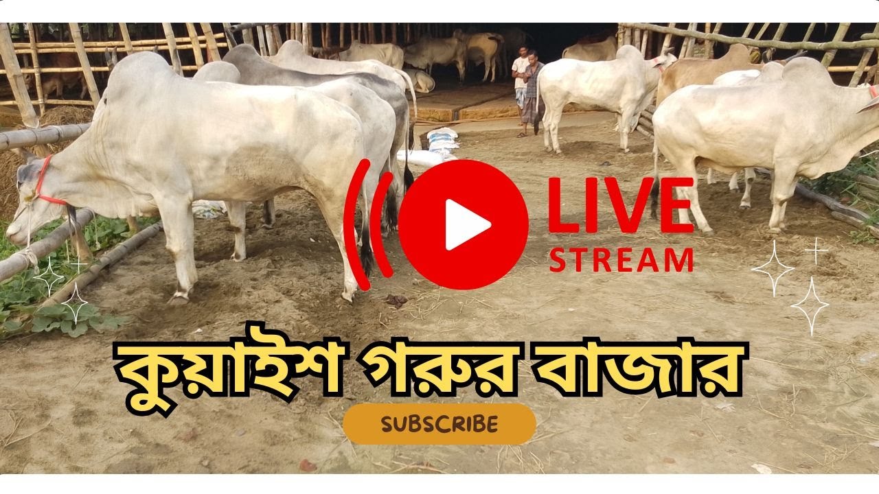 আজকের বাজার দর is live from কুয়াইশ কলেজ মোড়, বঙ্গবন্ধু এভিনিউ, চট্টগ্রাম। ২য় পর্ব - ২২/০৪/২৫