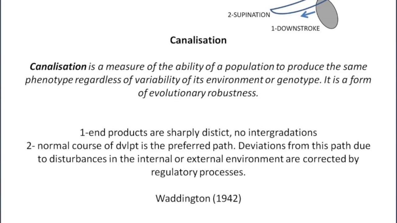 Canalisation part1