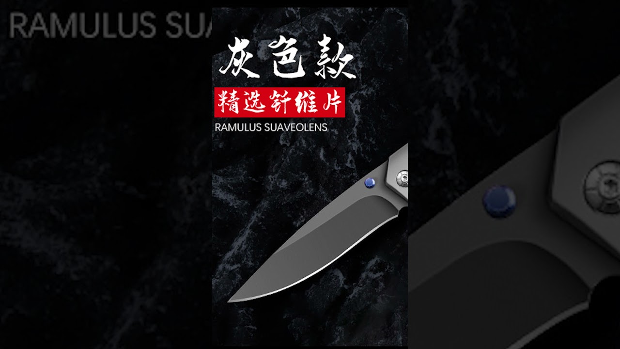Have you heard about this Titanium Alloy Multifunction Folding Knife ?