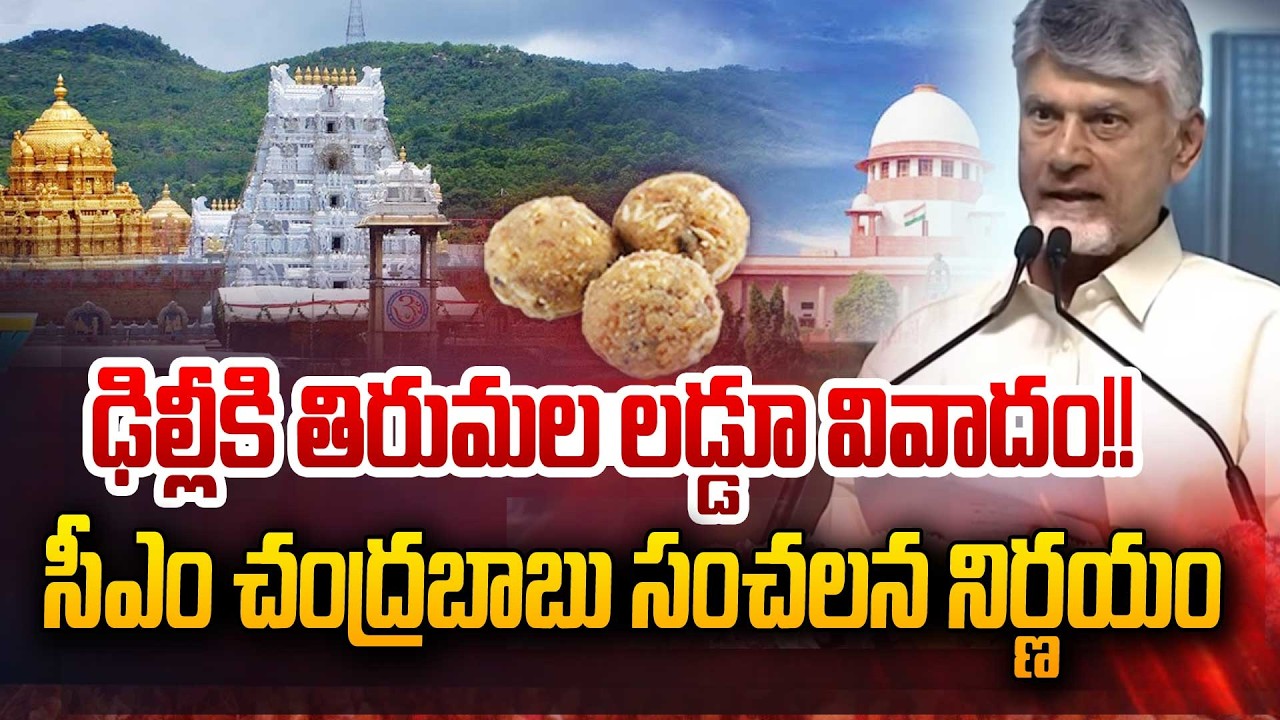 ఢిల్లీకి తిరుమల లడ్డూ వివాదం!! సీఎం చంద్రబాబు సంచలన నిర్ణయం | CM Chandrababu To Visit Delhi | 99TV