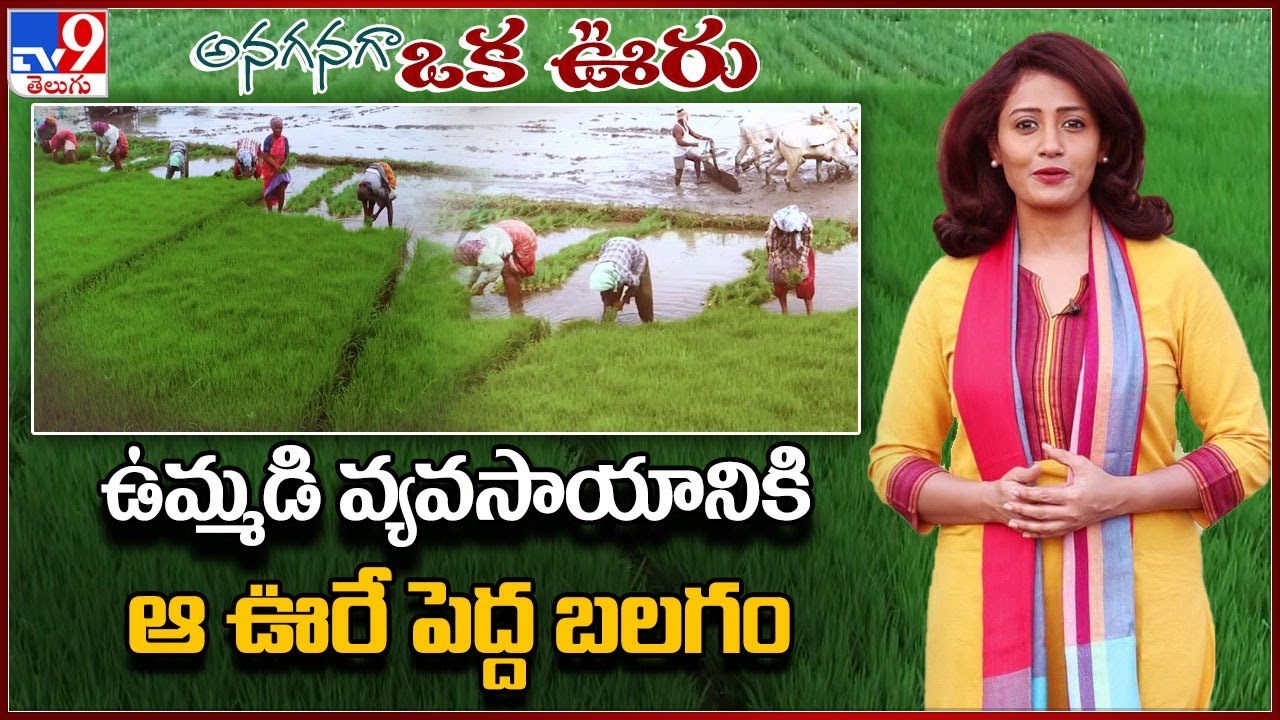 Anaganaga Oka Ooru : ఉమ్మడి వ్యవసాయానికి ఆ ఊరే పెద్ద బలగం!!! | Nellore - TV9