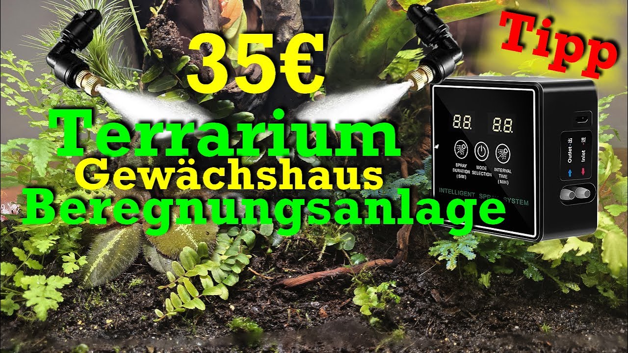 Günstige Terrariumberegnung  - Beregnungsanlage / Gewächshaubewässerung