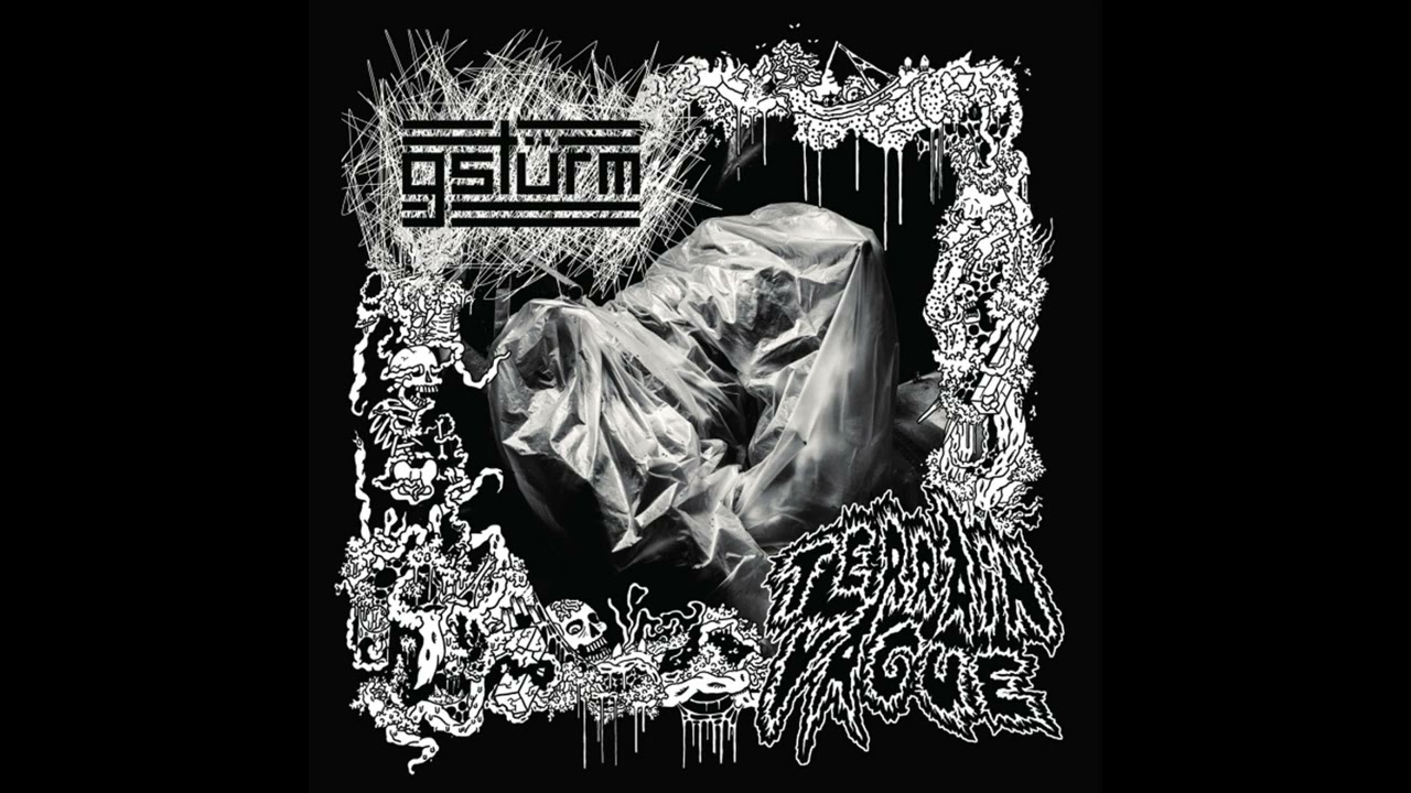 GSTÜRM/TERRAIN VAGUE - SPLIT (2026) | POWERVIOLENCE / GRINDCORE / FASTCORE