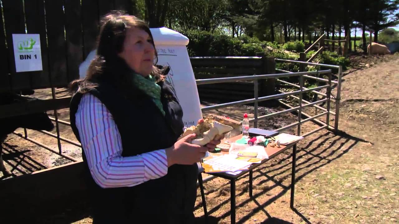 Cow Signals - Mobility Scoring, Jo Speed