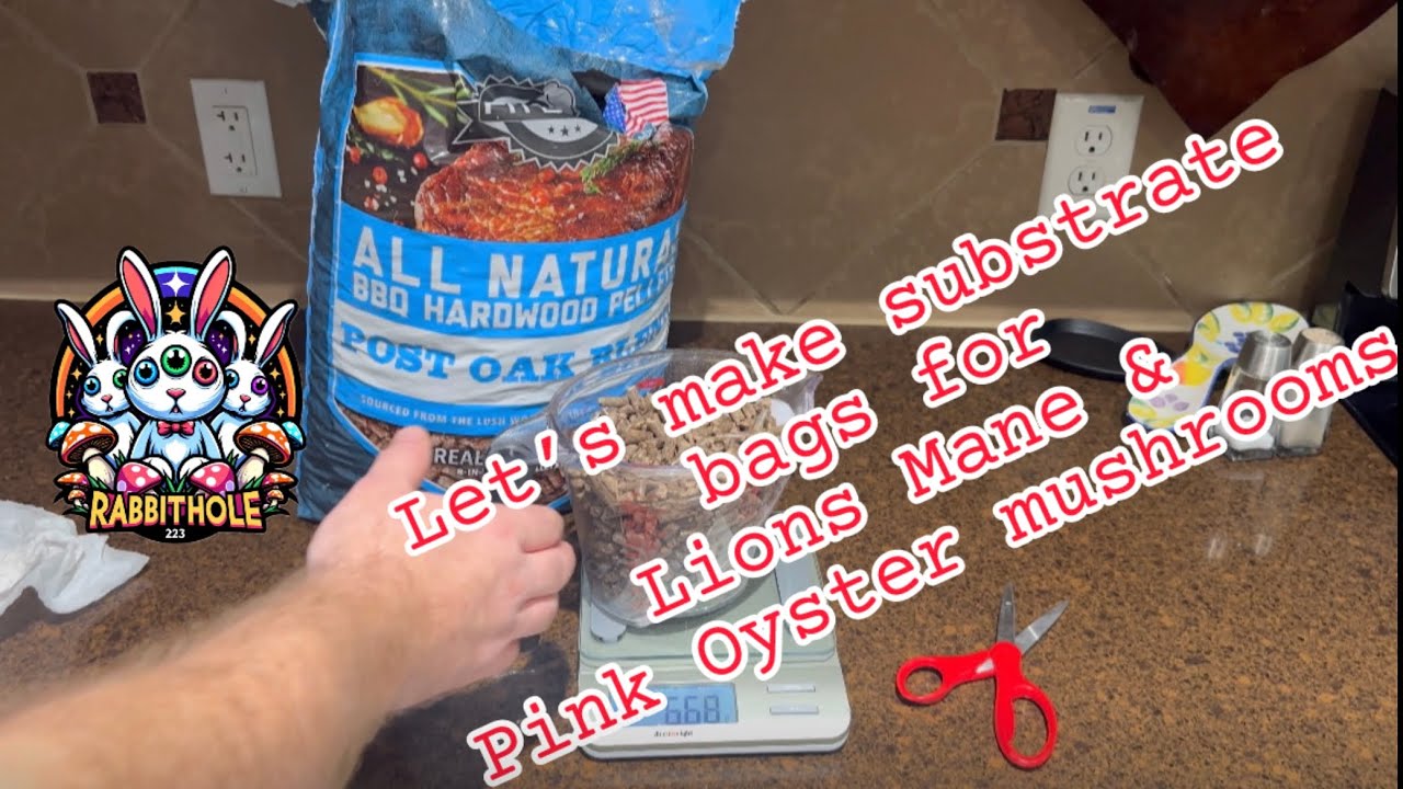 How to make wood pellet bags for lions mane and pink oyster #mushrooms