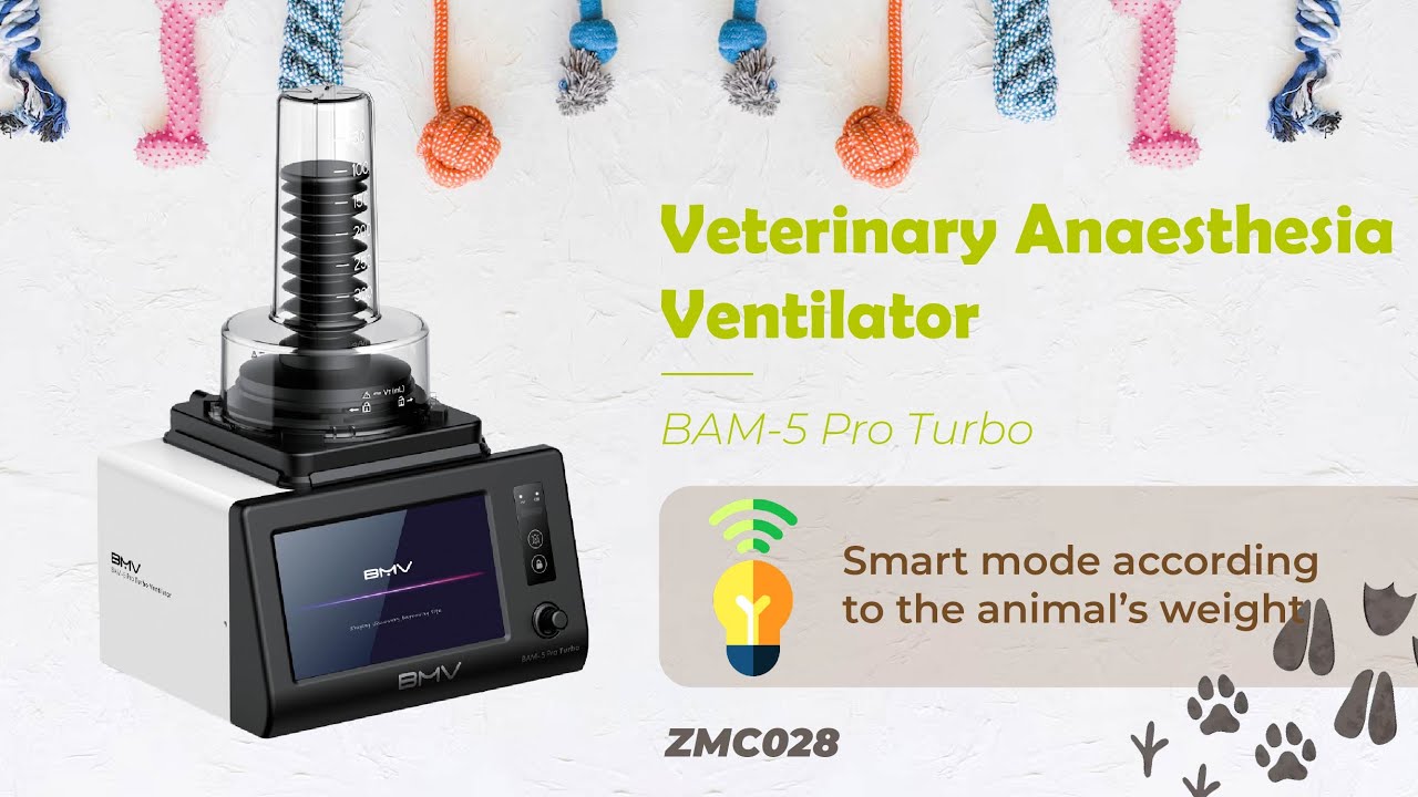 Veterinary Anaesthesia Ventilator BAM-5 Pro Turbo, ZMC028