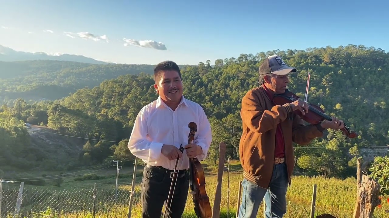 Grupo de cuerda: 🎻SINCEROS MUSICAL”🎻 orgullosamente de HIDALGO CHALCATONGO OAXACA 🌽♥️