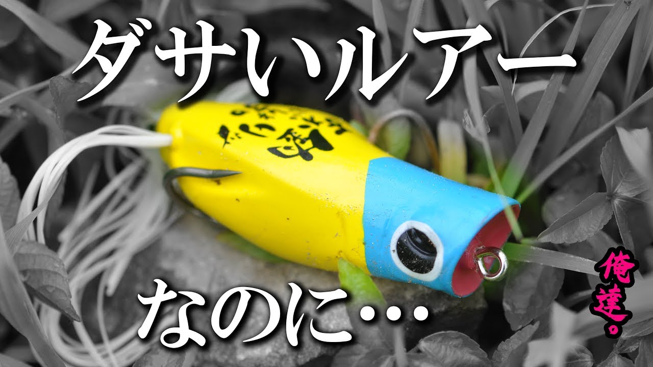 釣りよかガバチョが釣れすぎる件。