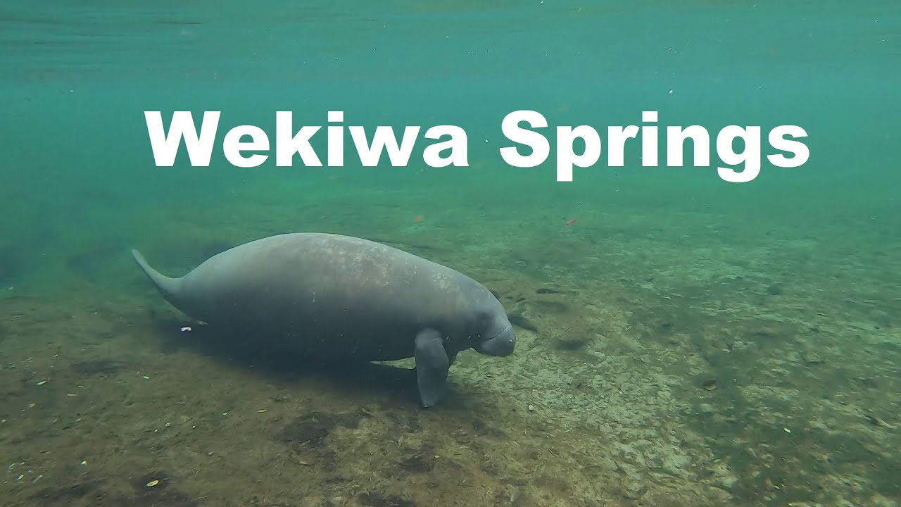 Exploring Wekiva/Wekiwa Springs, Florida