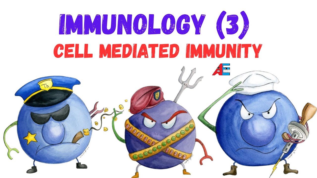 Cell Mediated Immunity - قصر العيني 2026