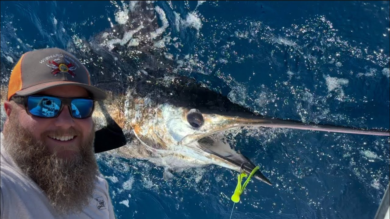Epic Surprise! Blue Marlin Crushes our Mahi Spread! | 70 Miles Offshore| Catch, Clean, Cook