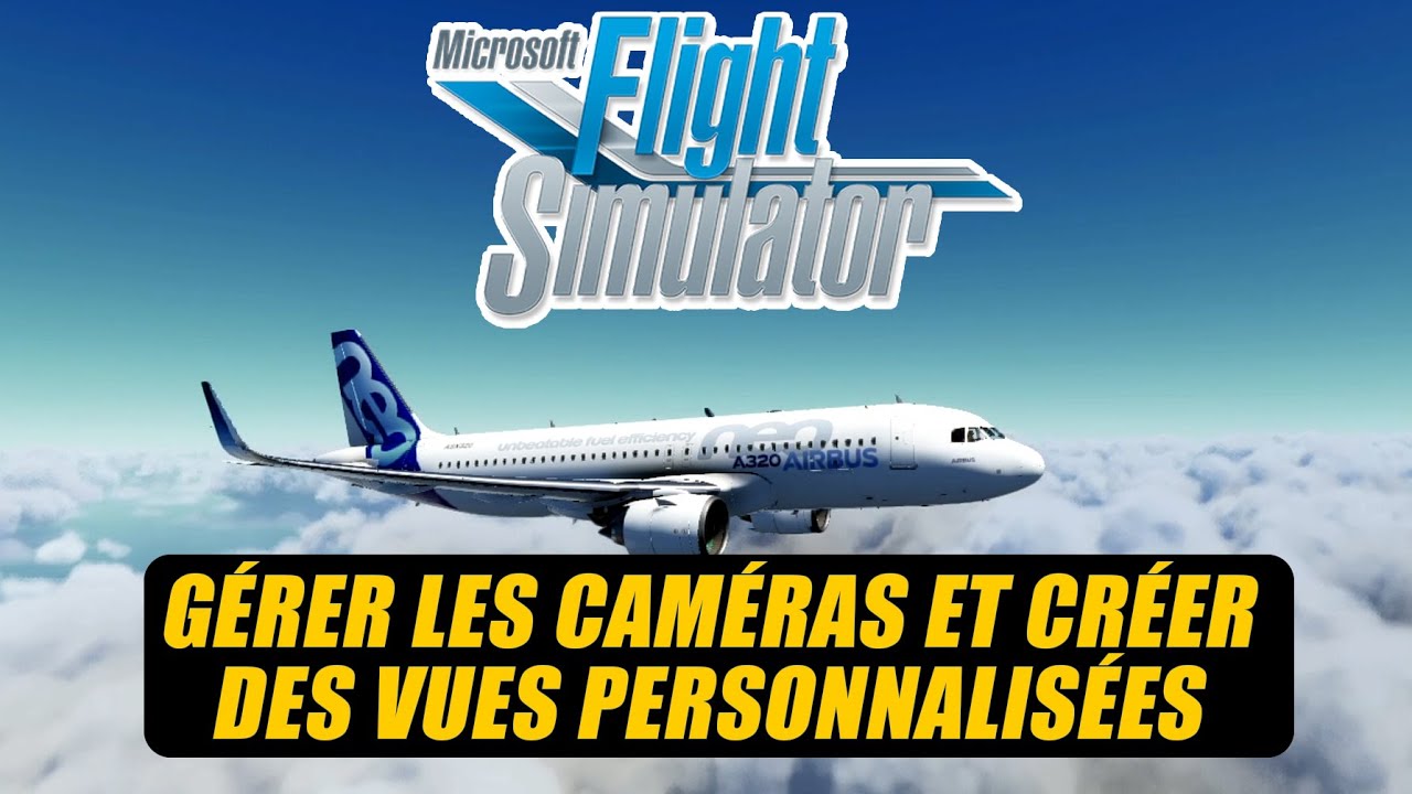 ⚙️ [ Tuto Flight Simulator 2020 FR ] Gérer les caméras et créer des vues personnalisées