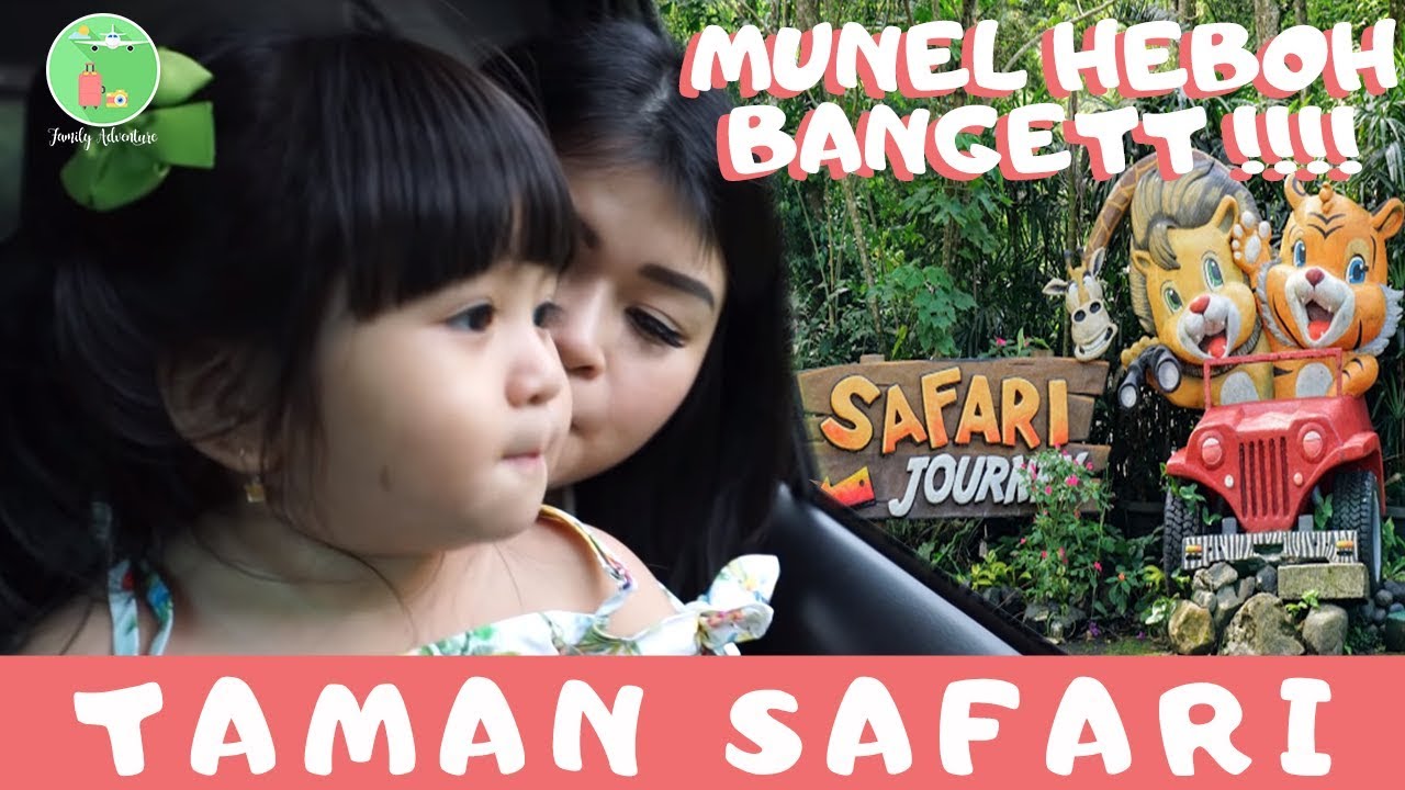 Moonella Heboh di Taman Safari!