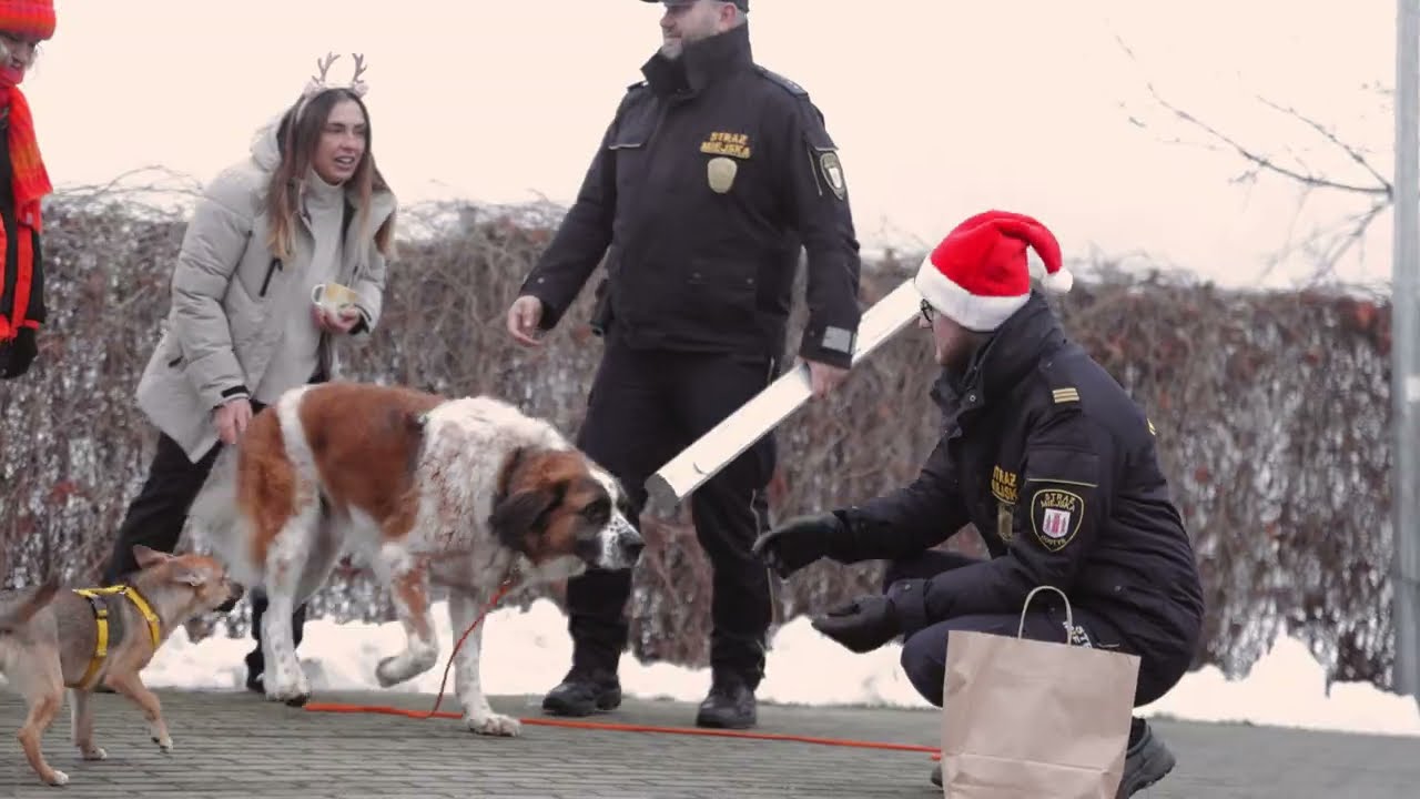 Mikołajkowe Drzwi Otwarte w Schronisku w Dalabuszkach