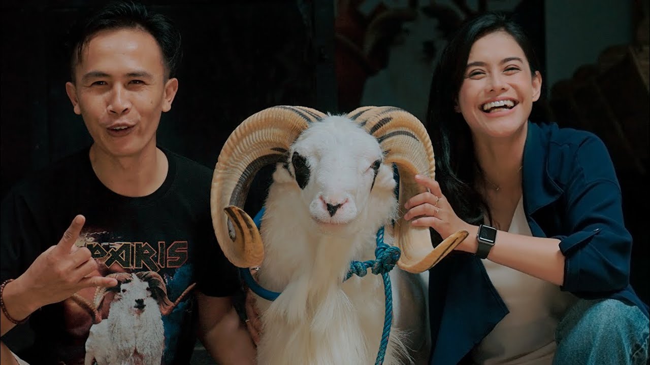 Perawatan Domba Garut Bersama Kiki Kinanti