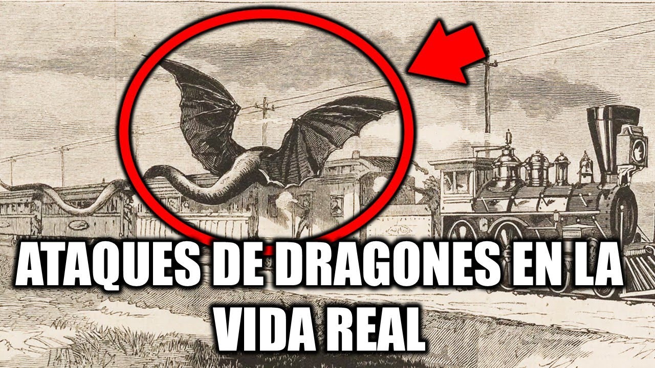 &iquest;Los Dragones Existen? Avistamientos Reales