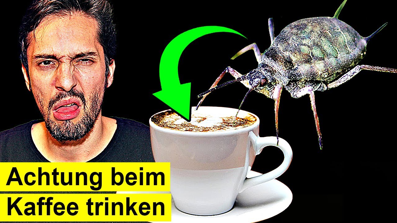 Giftige Insekten plötzlich im Körper, nach Kaffee trinken?