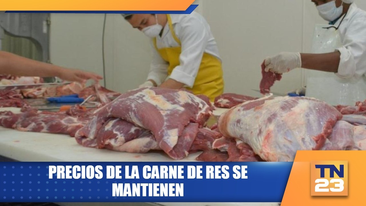 Precios de la carne de res se mantienen