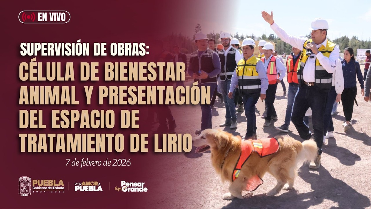 Supervisión de obras: Célula de Bienestar Animal y presentación del Espacio de Tratamiento de Lirio