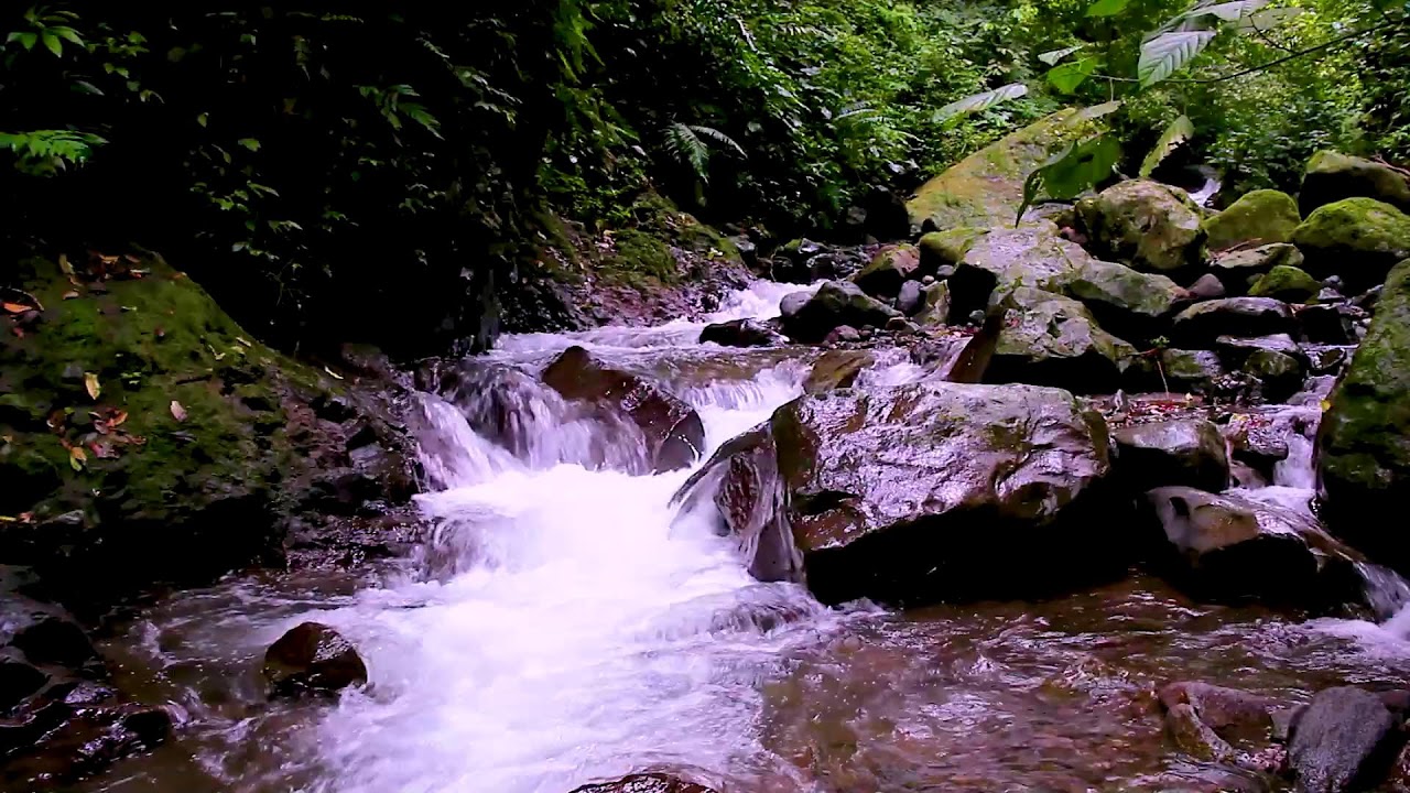 Calm Mountain River Sounds | Nature Water Ambience for Deep Sleep Tonight