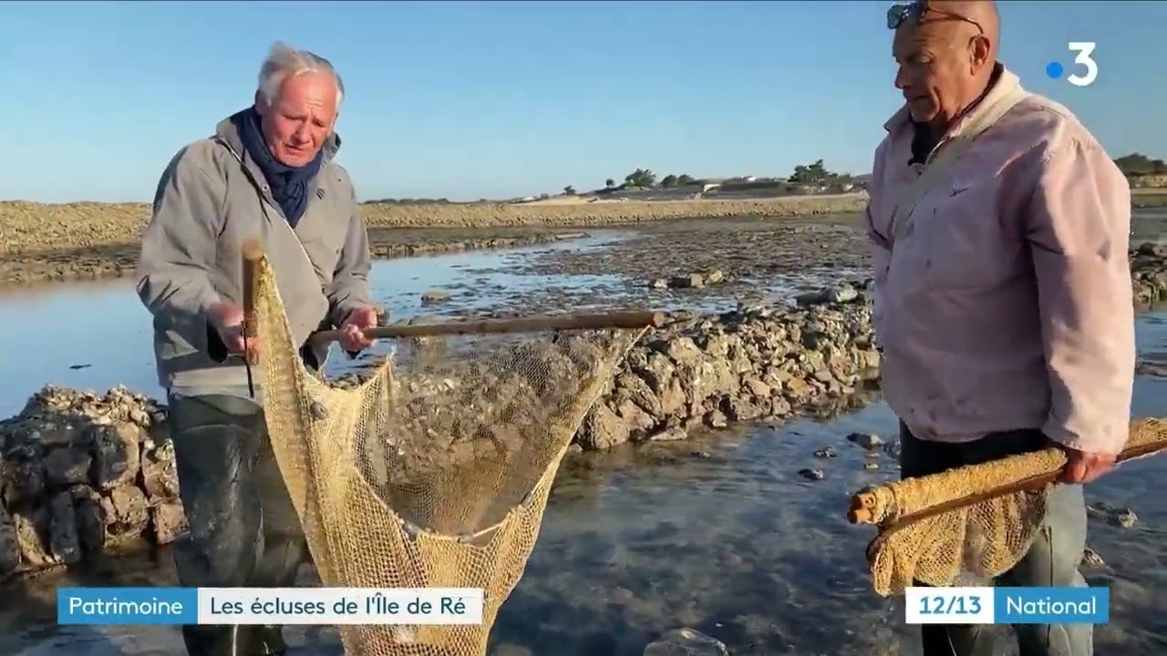 Ecluses à poissons de l'Île de Ré